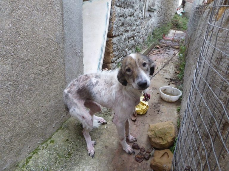 post